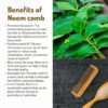 Neem comb